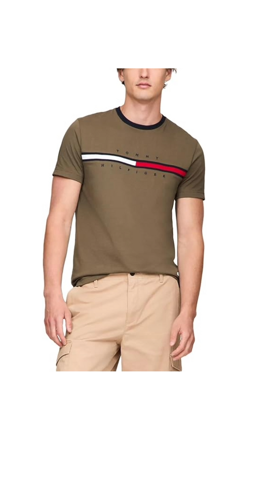 Camisetes masculina da Marca TOMMY HILFIGER